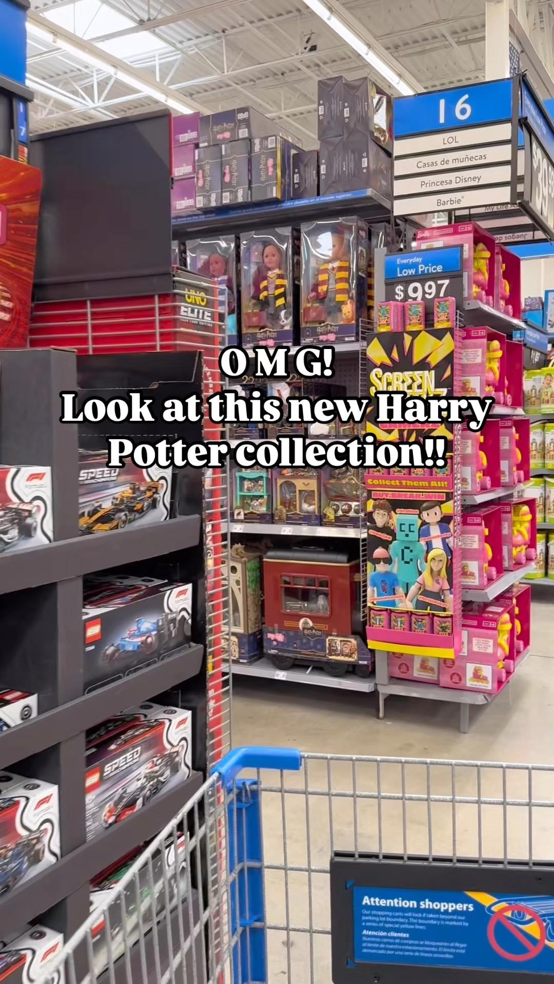 Check out the new My Life as Harry Potter collection! 