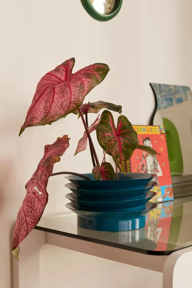 Cazz XL Planter | Urban Outfitters (US and RoW)