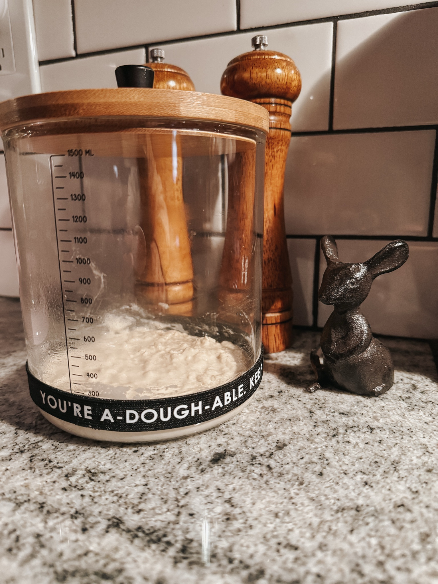 Sourdough starter essentials 🥖 