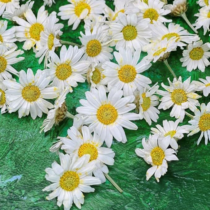 Edible Freeze Dried White Daisy Flowers - 20 Daisy Heads - Grown & Dried In the UK - Food Grade -... | Amazon (UK)