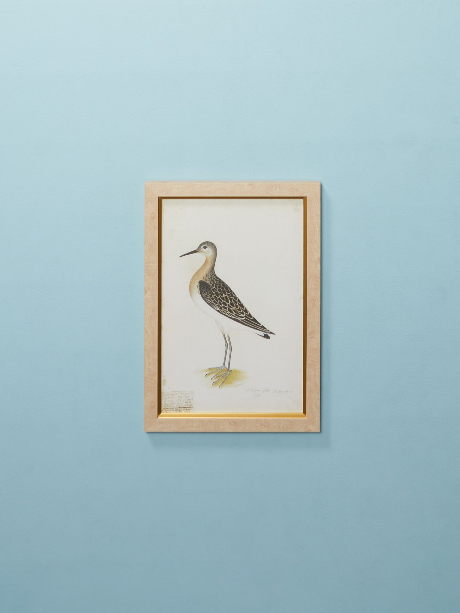 16x24 Swedish Bird Rudbeck Framed Wall Art | Living Room | HomeGoods | HomeGoods