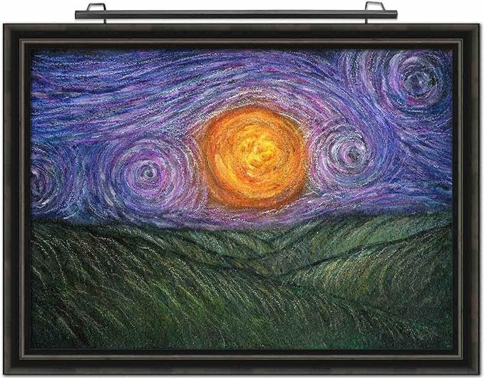 Situ Lighting: Plug-in Vision Series Remote Controlled LED Art and Picture Light USA Made (Black ... | Amazon (US)