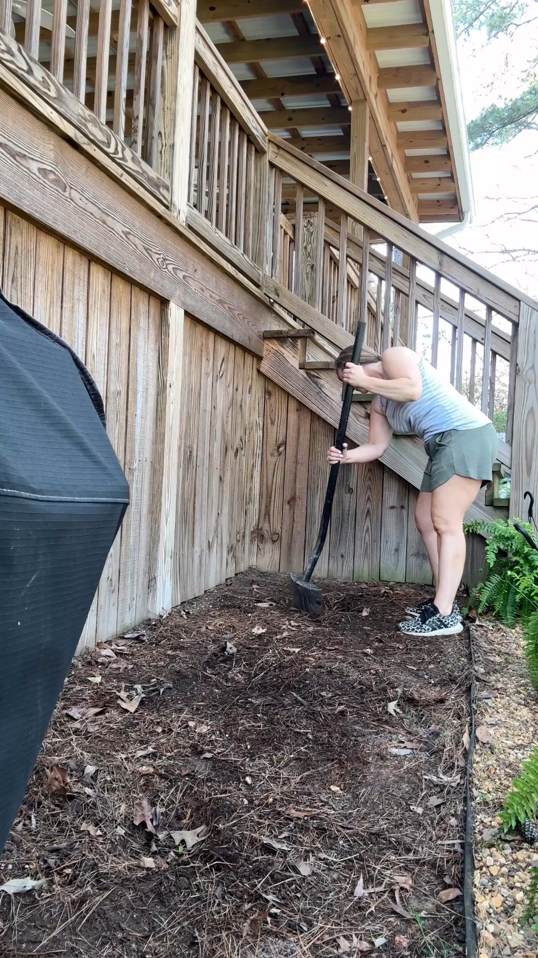 I add Boston ferns to the shade area by my deck each year… these are non toxic and fairly low Maintenance and they ove the shade. Thee are also great for planters 

#LTKHome #LTKmomlife #LTKSeasonal