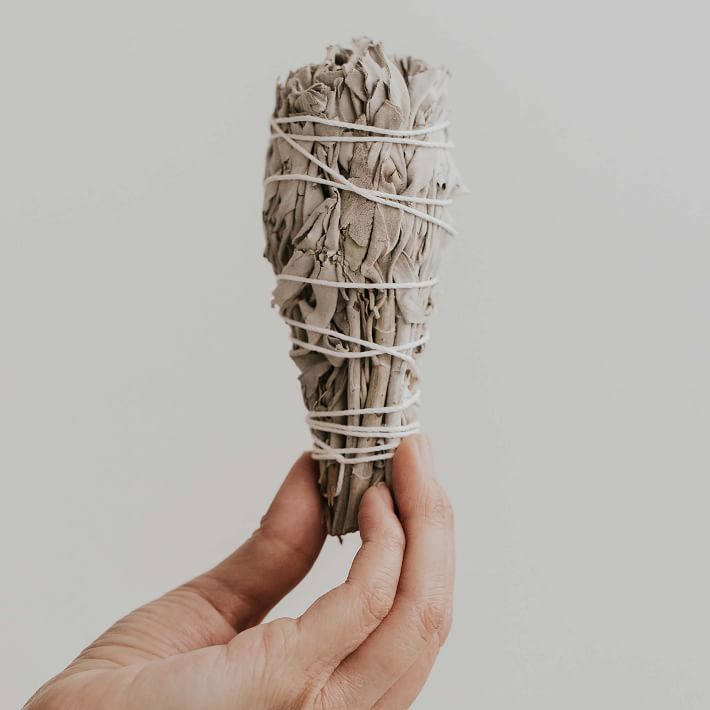 Before Noon White Sage Smudge Stick | West Elm (US)