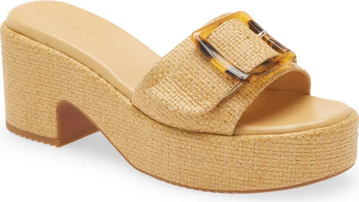 Courtney Platform Slide Sandal | Nordstrom