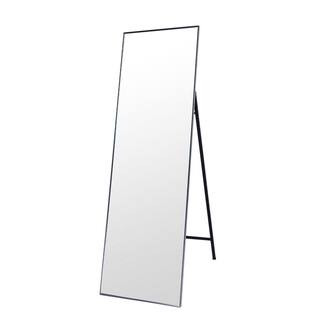 Tatahance 22 in. H x 65 in. W Modern Rectangle Silver Metal Framed Floor Standing Mirror | The Home Depot