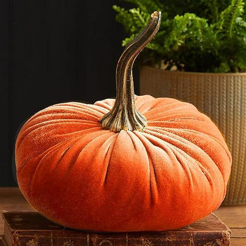 Velvet Pumkins for Decorating, Rustic Faux Velvet Pumpkins with Real Stems Fabric Pumpkins Foam Pumpkins for Fall Decorations Wedding Harvest Thanksgiving Halloween Table Centerpiece Fall Decor | Amazon (US)