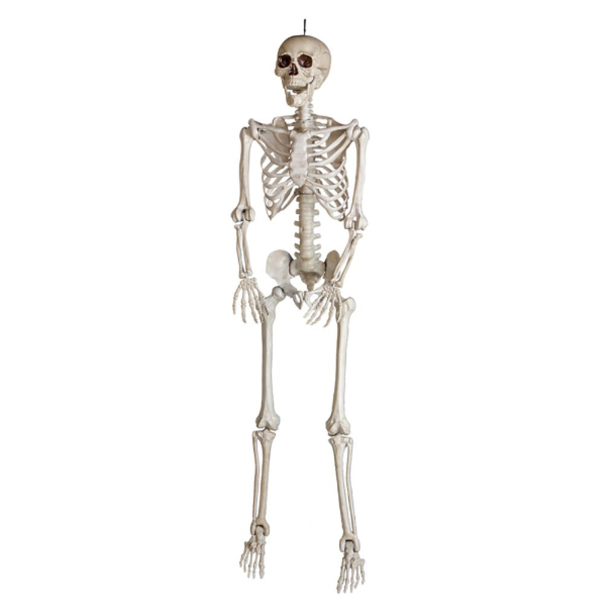 Gemmy 59660 Spooky 5 ft. Bone Skeleton with Open Mouth | Walmart (US)