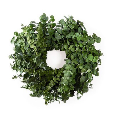 Baby Eucalyptus Wreath, 20"" | Williams-Sonoma