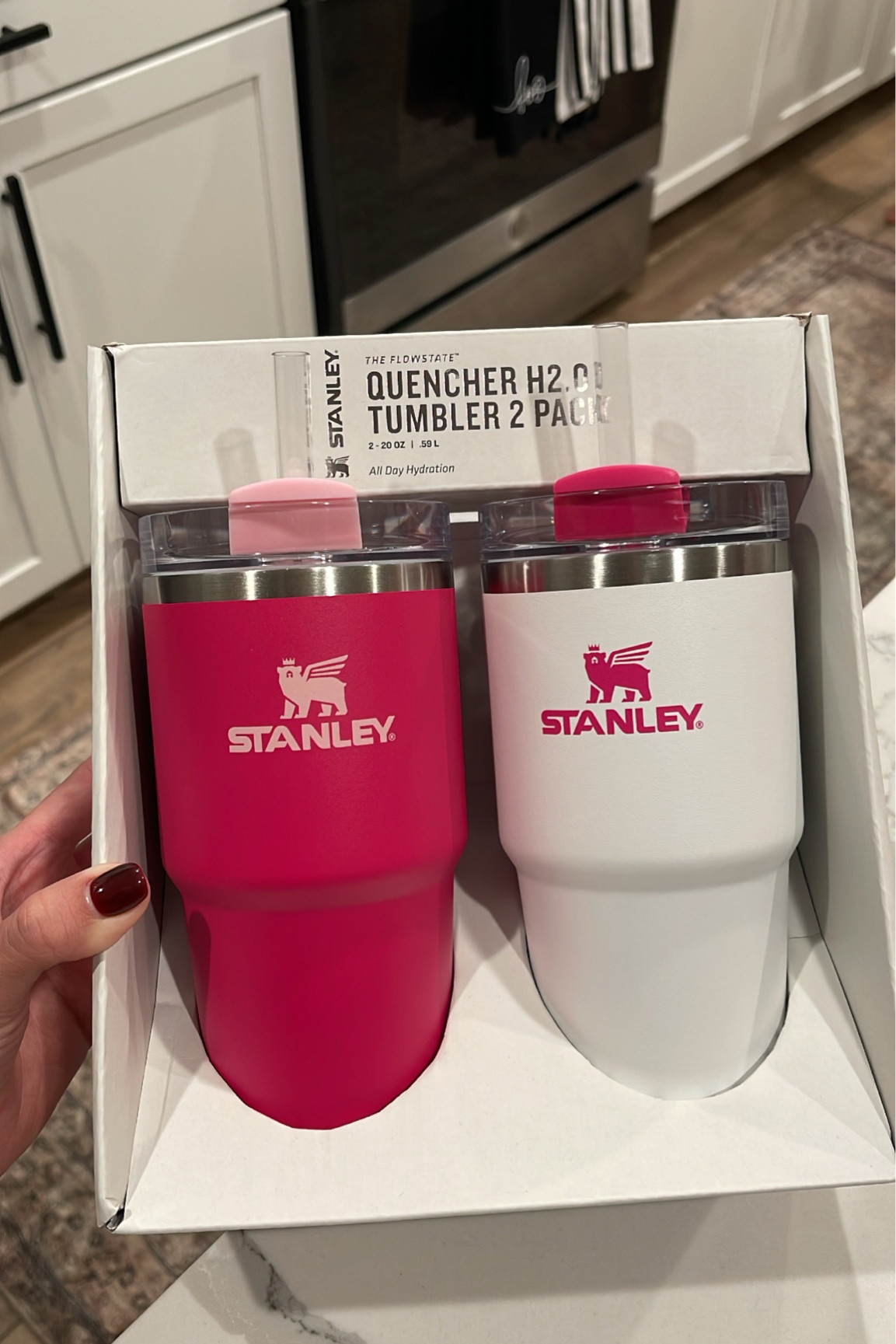 MINI STANLEY CUPS 

#LTKGiftGuide #LTKkids #LTKsalealert