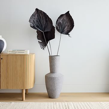 Black Fan Palm | West Elm (US)