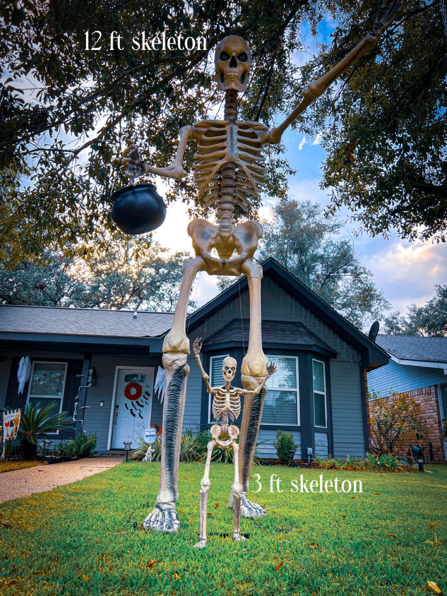 12 ft skeleton from The Home Depot and 3 ft skeleton from The Home Depot both with led eyes. Halloween outdoor decoration. Front yard decor. Spooky season. 

#LTKSeasonal #LTKhome #LTKHalloween