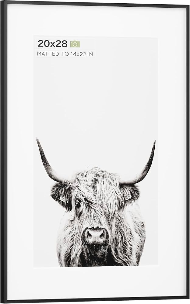 Homeforia 20x28 Poster Frame Black, Premium Metal 20 x 28 Frame with Mat for 14 x 22 Photo, Large... | Amazon (US)