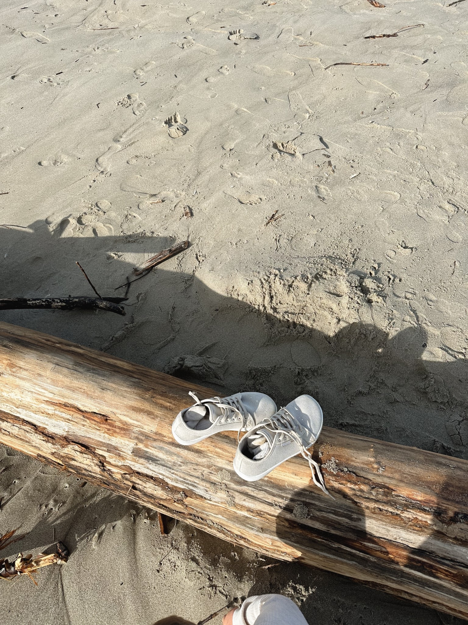 My favorite pair of wide toe box barefoot style shoes. Under $50 too!

#LTKShoeCrush #LTKFindsUnder100