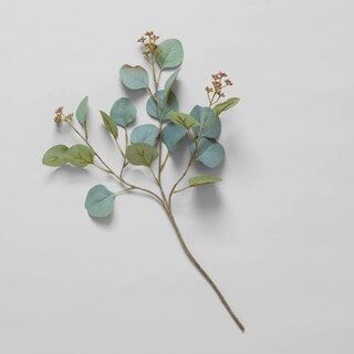 Spring EcoFaux Silver Dollar Eucalyptus Branch Stem 20 inch | Michaels | Michaels Stores