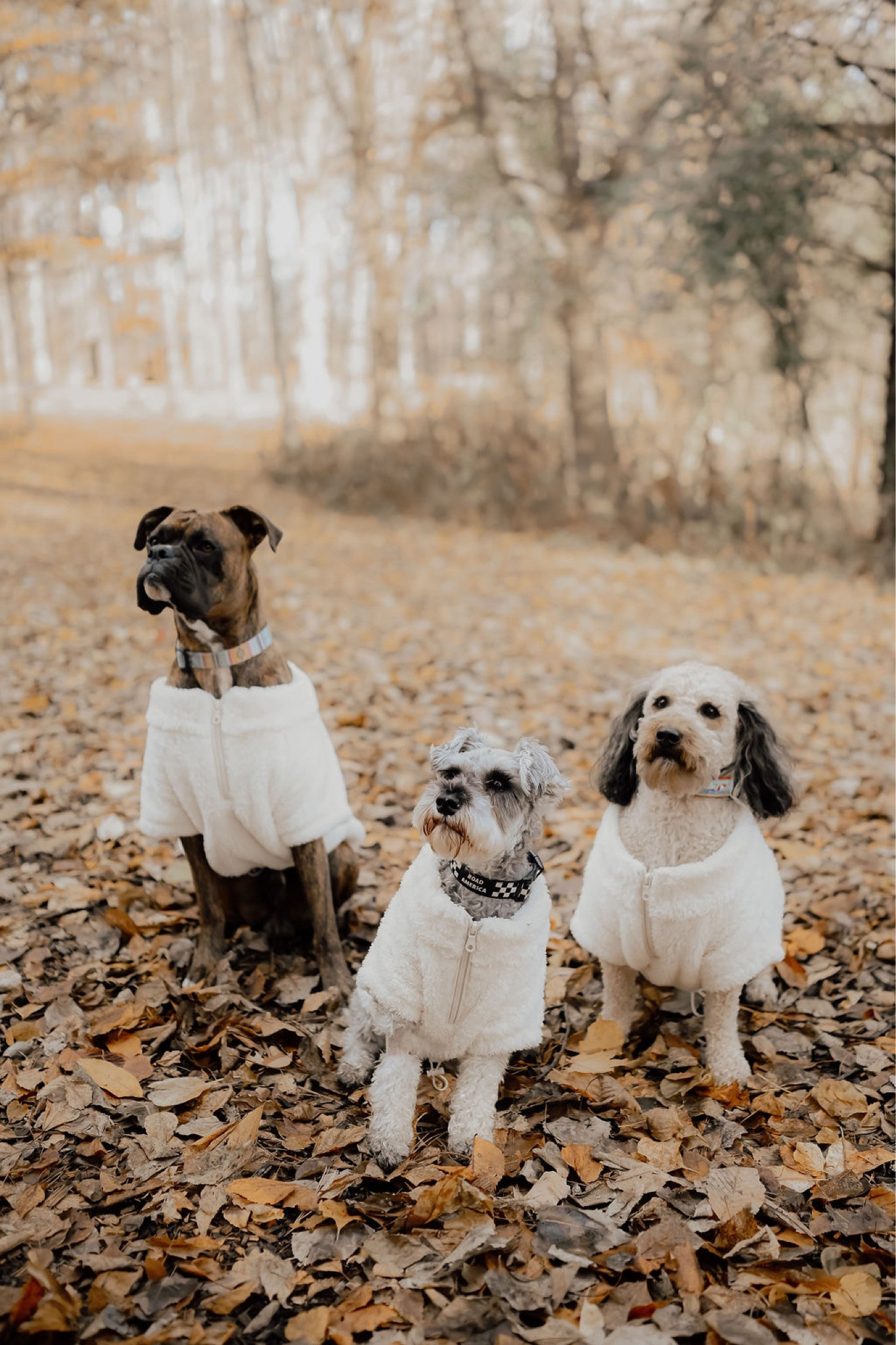 The stars of the family photo shoot in their Aerie sherpas. 😍
Size small, medium and large pictured here!

#LTKfamily #LTKfindsunder50