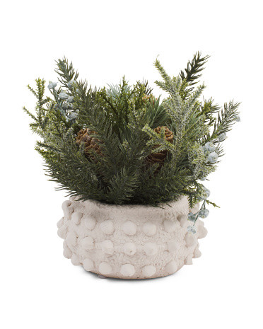 Pine Berry Arrangement In Nubbed Bowl | TJ Maxx