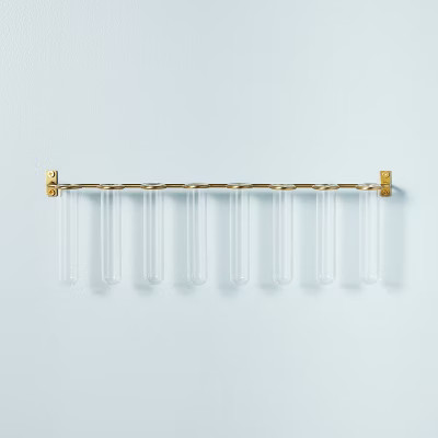 9pc Steel & Glass Plant Propagation Set Gold/Clear - Hearth & Hand™ with Magnolia | Target