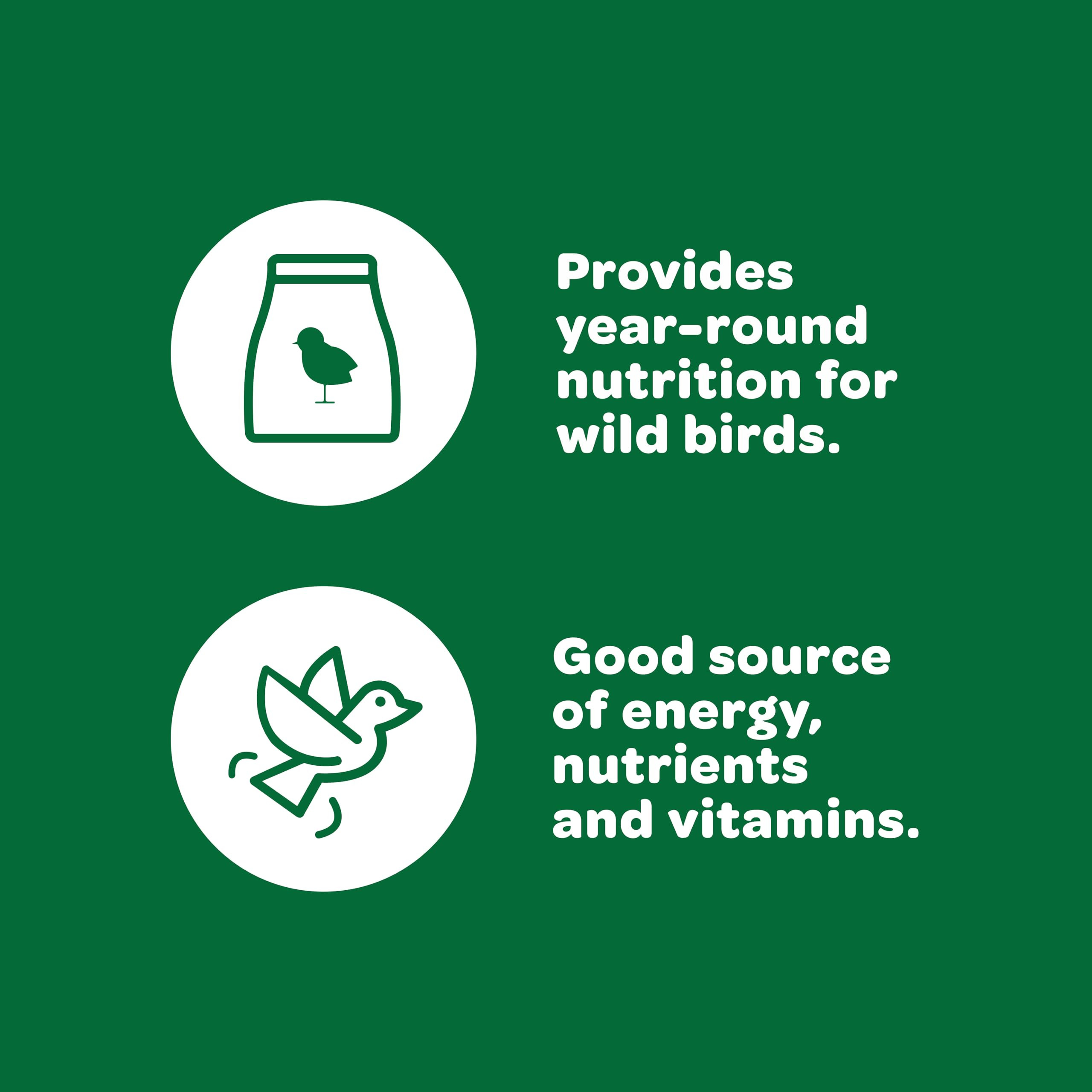 Kaytee Wild Bird Basic Seed, 10 lb | Amazon (US)