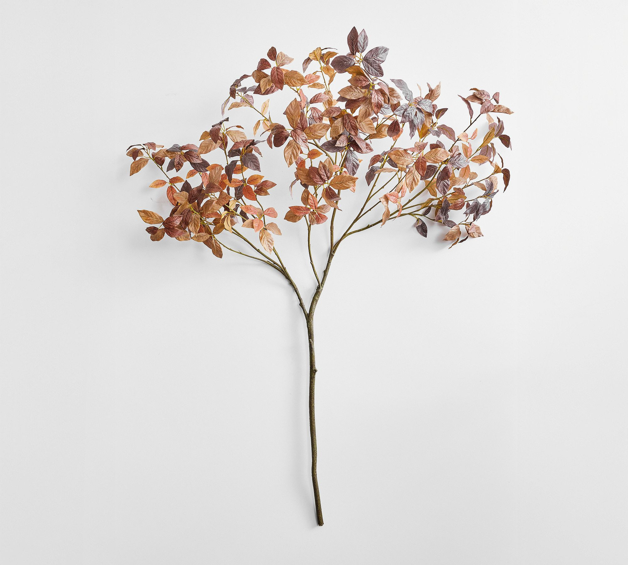 Faux Oversized Chocolate Leaf Branch | Pottery Barn (US)