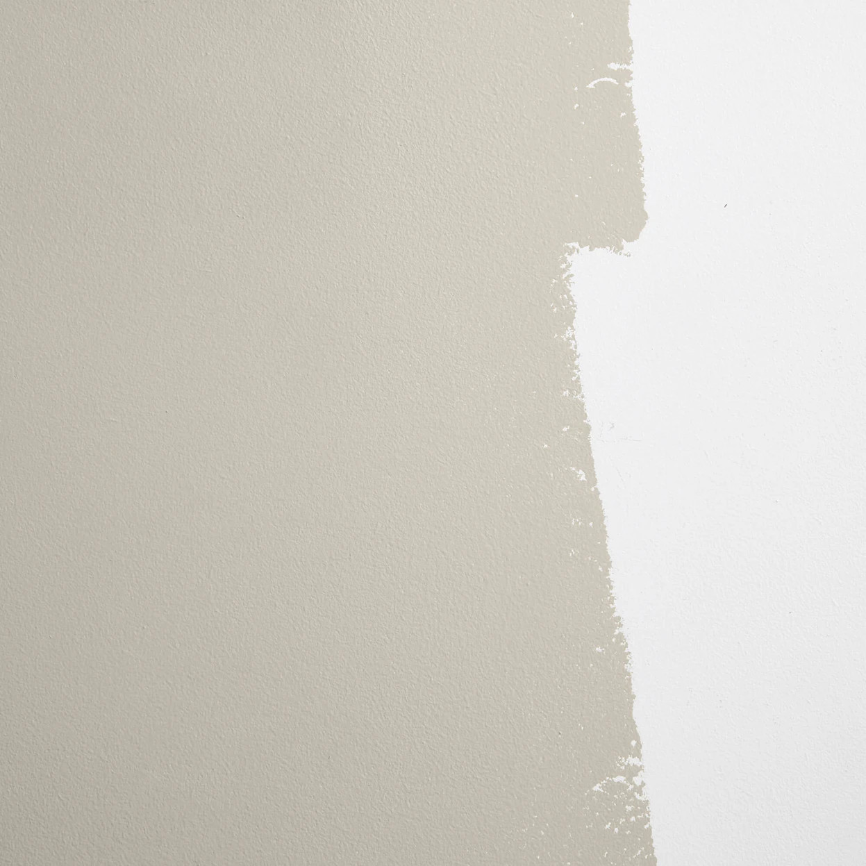 MOJAVE GATHERING | Backdrop