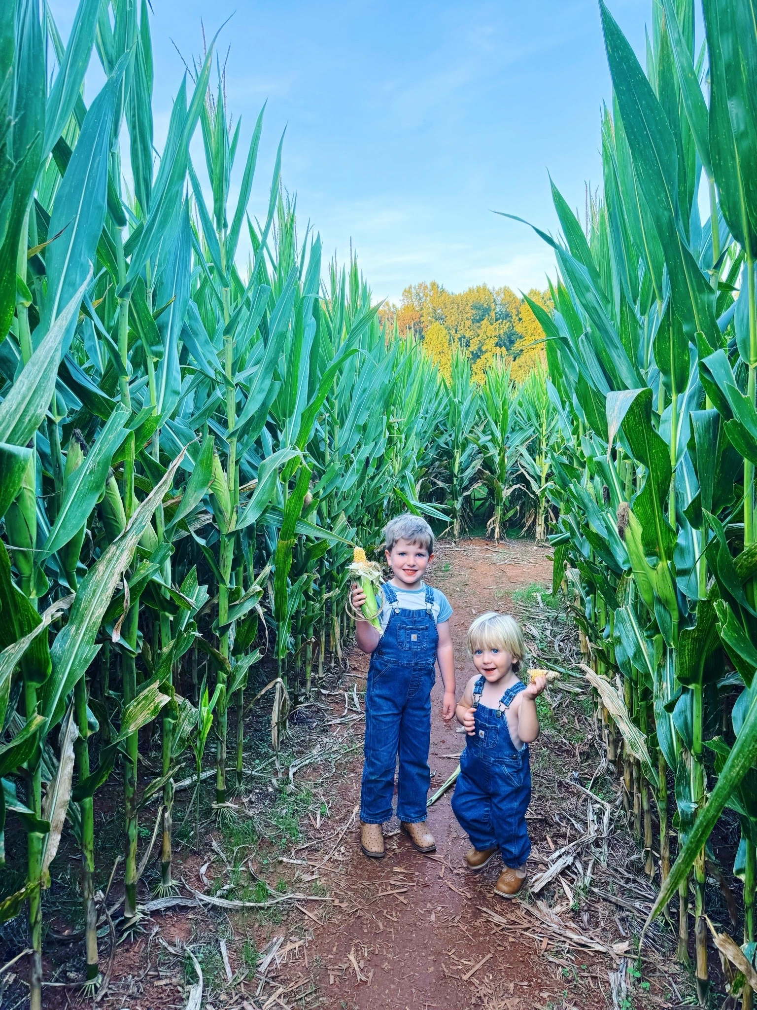 Happy October Monday 🌽🎃 from the cutest little matching overall 👖wearing (yes, I linked 🔗them over on my LTKit shop for y’all 🥰) #brotherbestie country cuties 👶🏼🤠 mama ever did see!! 🌾🚜🛻🌼 #countrycuties #builtinbestfriends #shelbycornmaze #fallfunonthefarm