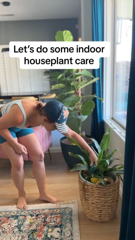 House plant care is a form of self care for me. Here are 6 ways I care for my house plants. 
Let me know what you do in the comments!! 

I use a moisture meter to know what needs to be watered and what doesn’t. 

I use Happy Happy Houseplant food to feed my plants at every watering. 

Terra Cotta spikes work great with plants that needs slower watering or if you are leaving for an extended period of time. 

Fungus gnats are always bad in the summer months. I use pre made neem oil once a week to help combat them. 

When the gnats are bad I add sticky traps in the plants themselves and also use blue light traps. Gross right? 

I use have a propagation wall over my fireplace and is use cute colorful bud vases to house them. I change the water about twice a month! 

#houseplantcare #houseplantclub #houseplantsmakemehappy

#LTKhome