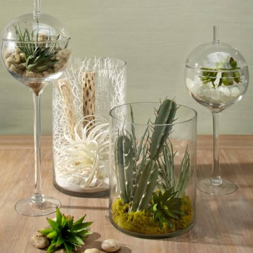Z Gallerie Jules Glass Cloche, Hand-Blown Glasses Display Dome for Decorative Showcase Elegant Te... | Amazon (US)