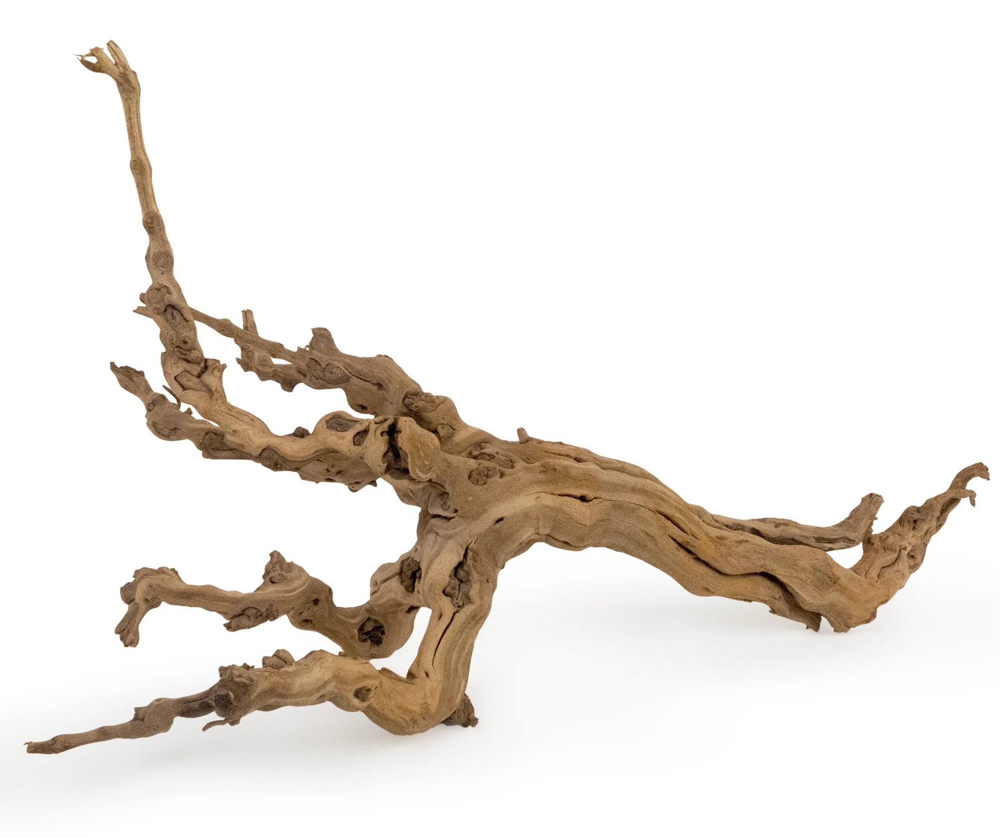 Aquilar Landscape & Nature Figurines & Sculptures | Wayfair North America