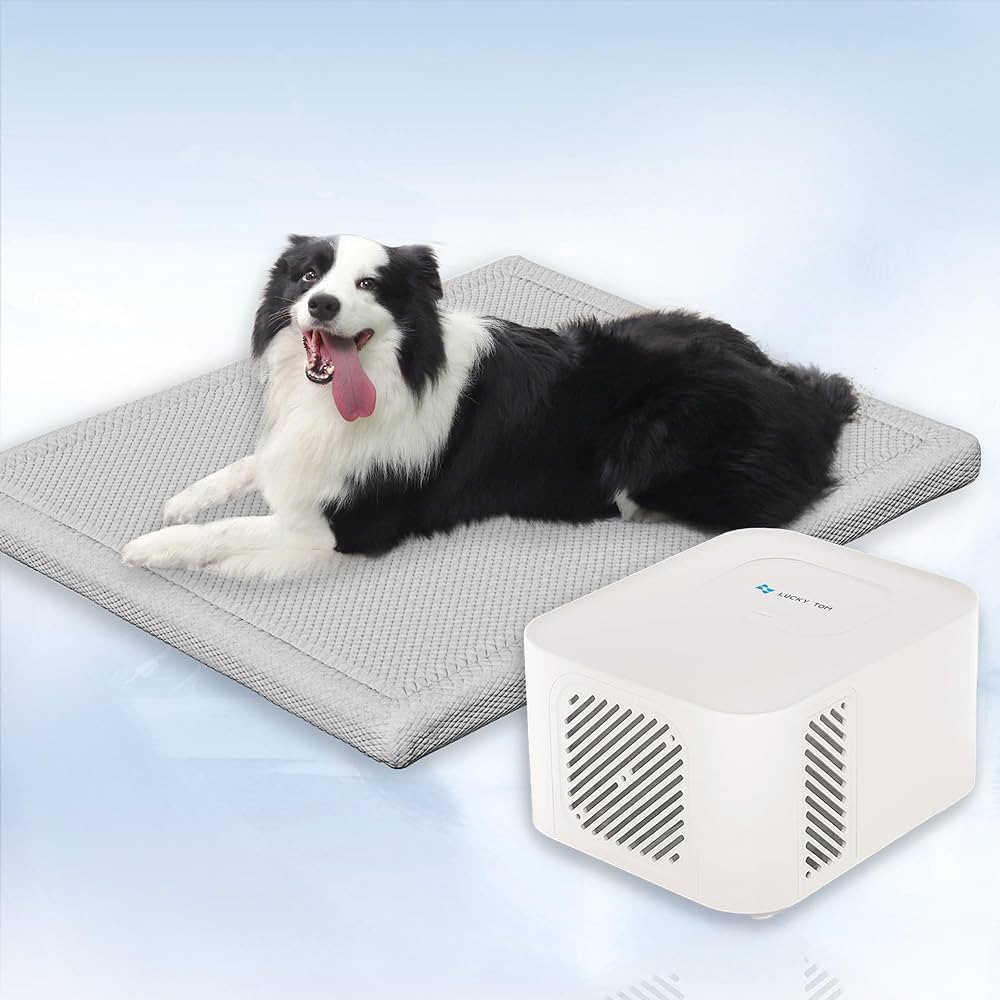 Pet Pad Cooling System for Summer, Consistent Cooling Water Mat for Dogs and Cats, No Refrigerati... | Amazon (US)