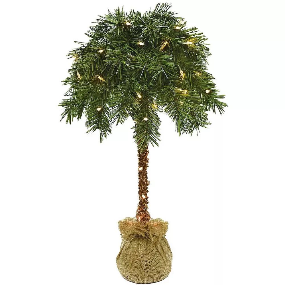 2 Ft. Lighted Palm Tree | Bealls