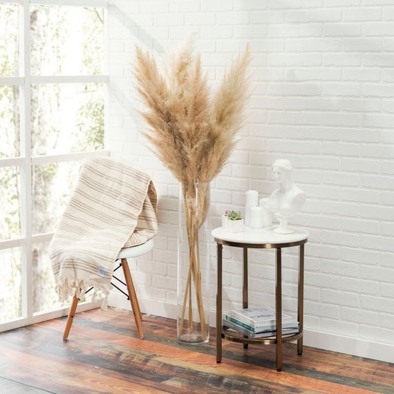 3 Gorgeous High Quality Pampas Grass Stems  - Pampas Grass Dried pack of 3 - Preserved Natural Pa... | Etsy (US)