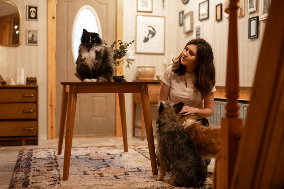 Me and my crew minus Cloud! I had a really hard time, knowing what to put in this little foyer room so naturally putting a table here where the cat can just look over the dogs made a lot of sense 

#LTKHome