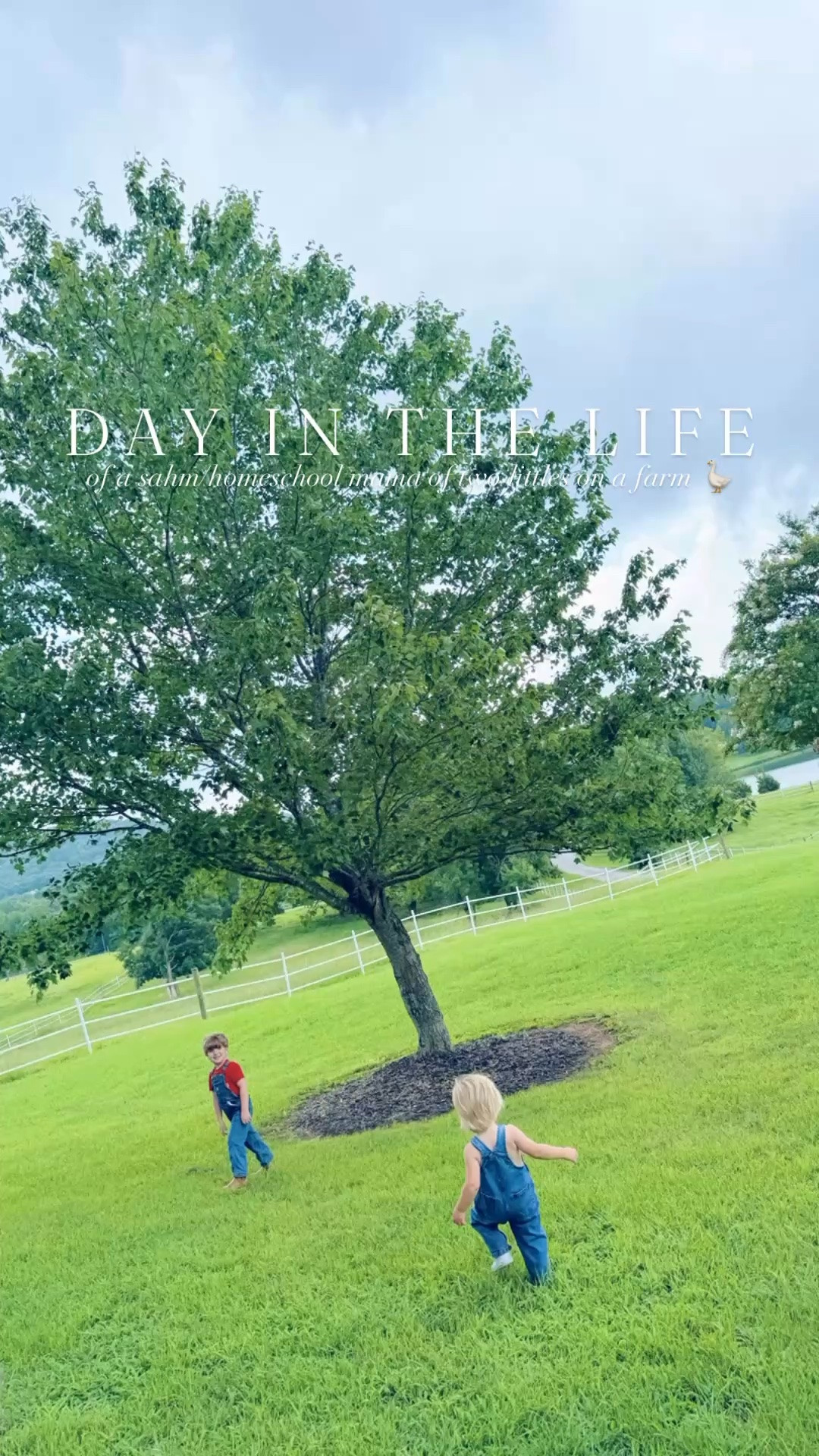 Raising babies 👶🏼👣🐶🐓on a bunch of land 🌳🌾 >>>> #lifeonthefarm #sahmonafarm #livingthedream #homeschoolmama #raisingkidsonland 

Nothing better than starting the day with these morning running views !!! 🌅🐴🫏🪿 And we always love a cozy rainy/cloudy kind of morning ☕️ staying home 🏠 here on the farm (we have something fun 🤩 and exciting tonight 🥳 so we are laying low today)!! 🏡🌾🐓🚪👷

This sweet homeschool room is so fun for learning ✍️ and playtime - what a gift it is being their “mommy teacher!” 👩‍🏫 And have been out exploring the pastures 🌳🌾 (they found an old birds nest 🪺 that we put back in the tree 🪾, dandelions 🌼, and more!!) and walking down to the pond 🦆 until the rain started back!!! ☔️ Gosh these are the days and what a precious childhood these cuties get to have out here!! 👶🏼👣

And LOOK y’all!!! We got our very first (!!) blue 🩵 egg 🥚 today from our girlies 🐓 and I am so giddy I squealed!!!! 🤭 And the CRAZY (!!) part is… I literally had just (!!) texted 💬 a friend how much I was hoping we would eventually get some blue eggs 💙 to complete our rainbow 🌈 cartons 🧺…. and no joke… not even an HOUR (!!) later,  I went out to the coop 🪵 and there it was!! 🥹 A “God wink” 😉 if you ask me - just wow!! 😆🪺

Happy happy Tuesday, y’all!! 💛💛💛