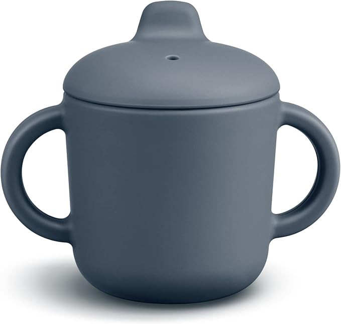 Silicone Sippy Cups for Baby, Toddler Training Cup with Handles and Spout Lid, Infants Spill Proo... | Amazon (US)