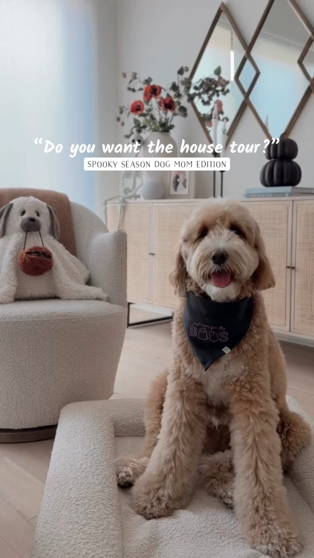 You’re officially invited to the dog mom Falloween club! We like our fall decor cute, cozy, and just a little haunted.  👻🍂🎃

#falloweenvibes #dogmomlife #fallhomedecor #pumpkinseason #spookyseason #dogsofinstagram #fallwithdogs

#LTKSeasonal #LTKHalloween #LTKHome