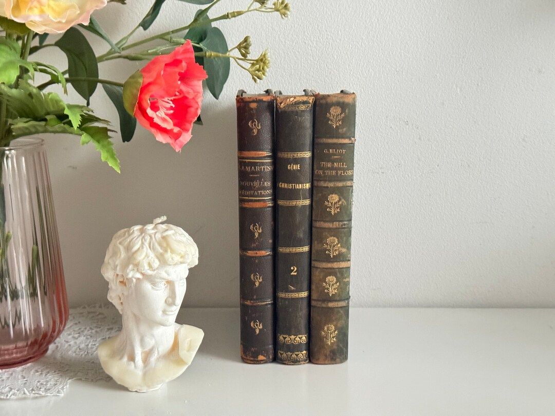 Set of 3 Antique French Books 19th 20th Century - Etsy | Etsy (US)