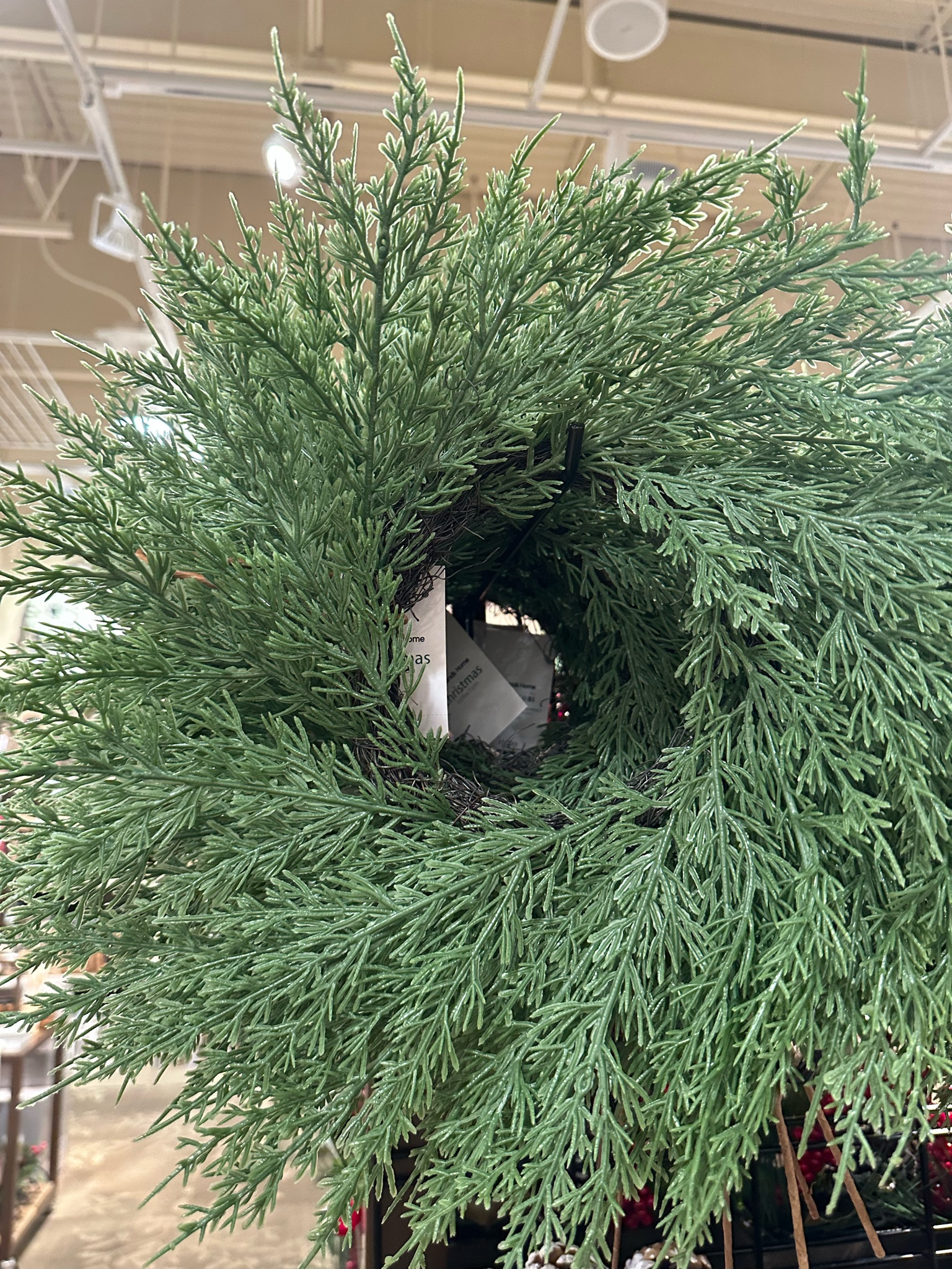 Here is the mini Norfolk pine version on the Larger Pre-list wreath. The mini version does not come pre-lit but is a steal at $14. Great to decorate your windows or back of chairs. 

#LTKSeasonal #LTKHoliday #LTKHolidaySale