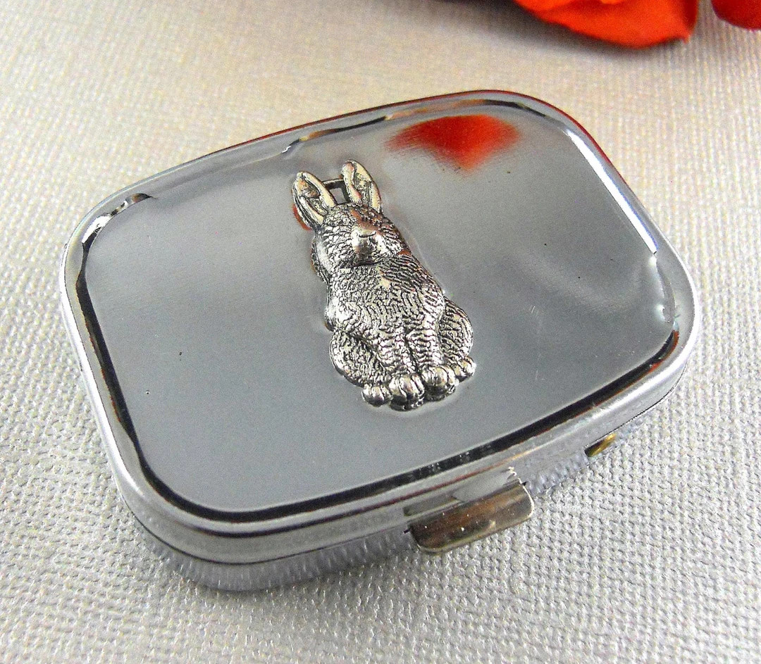 Pill Box, Pill Case, Vintage, Pillbox, Box, Gift, Accessories, Steampunk Inspired, Rabbit, Silver... | Etsy (US)