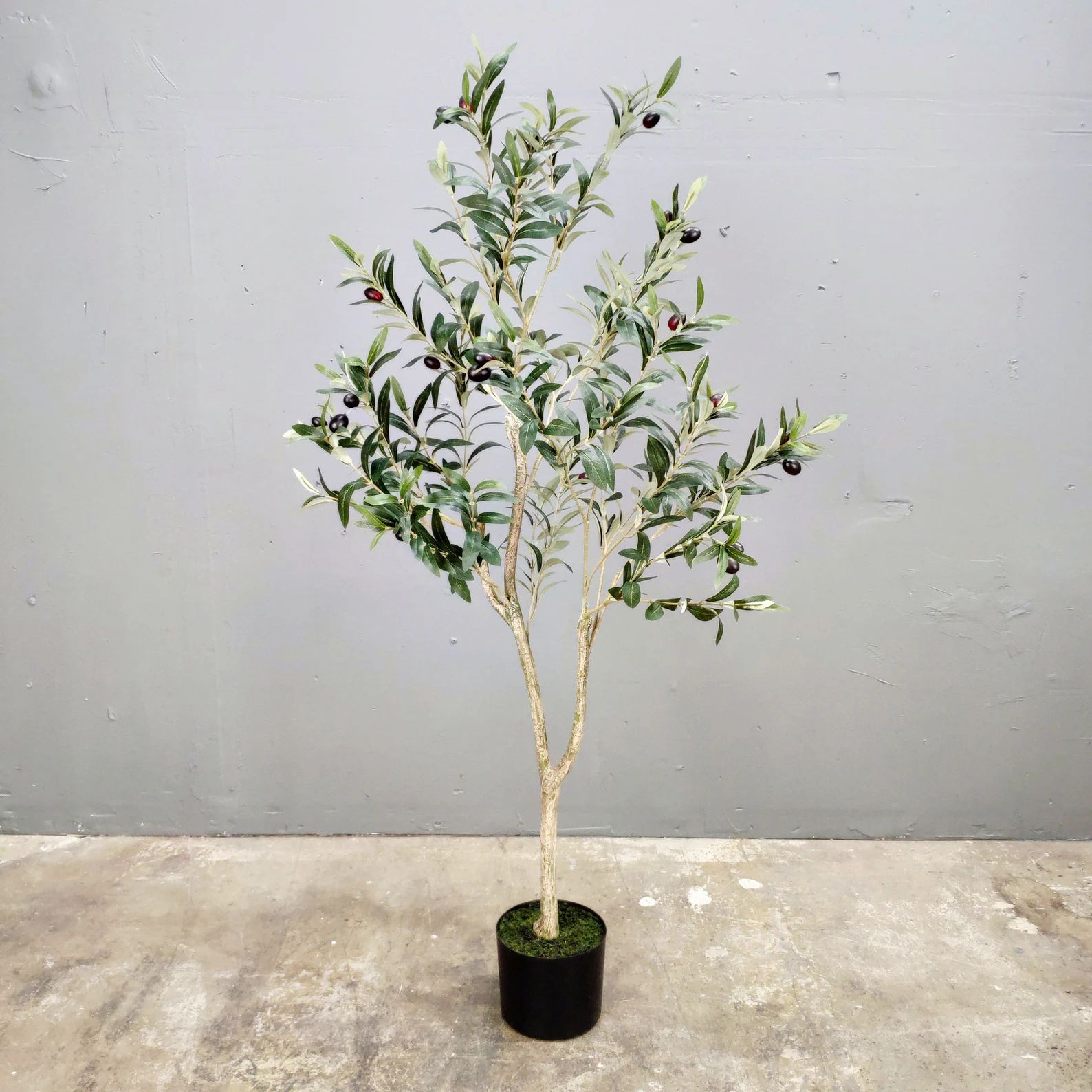 4 Foot6 Foot Artificial Olive Treeartificial Treesilk - Etsy | Etsy (US)