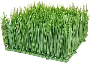 Handy Pantry Artificial Wheat Grass | Artificial Wheatgrass For Home Decor, Office Decor, Kitchen... | Amazon (US)