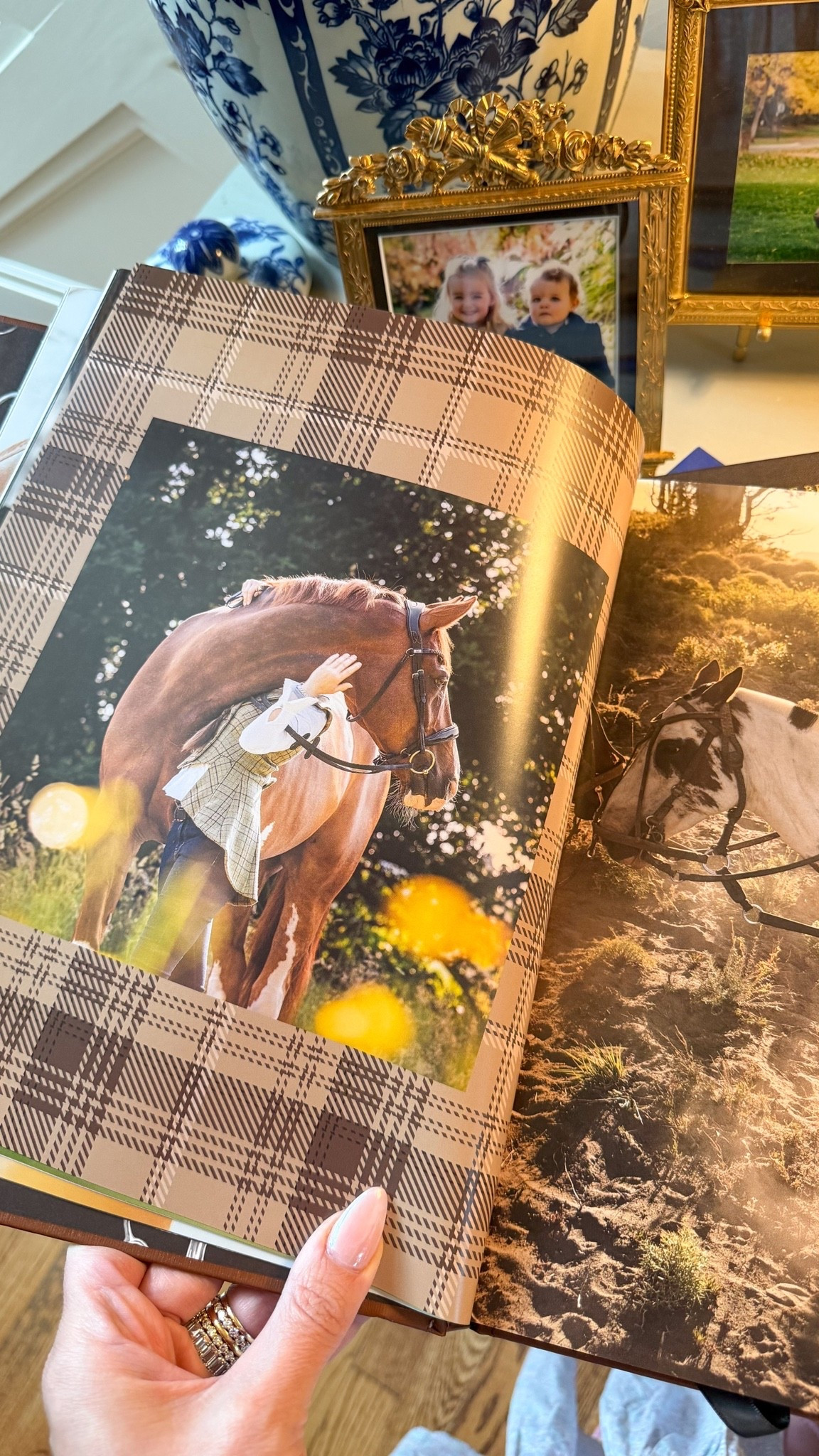 This book on horses is beautiful and perfect for the Autumn months! 🍂