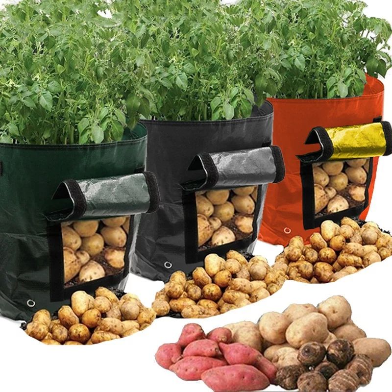 NEW Garden Potato Grow Bags, Vegetables Plant Growing Bags, Tomato Planting Container Bag, PE Pla... | Walmart (US)