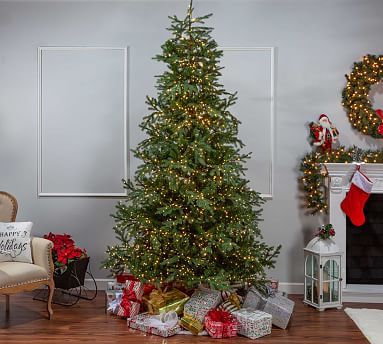 Pre-Lit Portland Pine Artificial Christmas Trees | Pottery Barn (US)