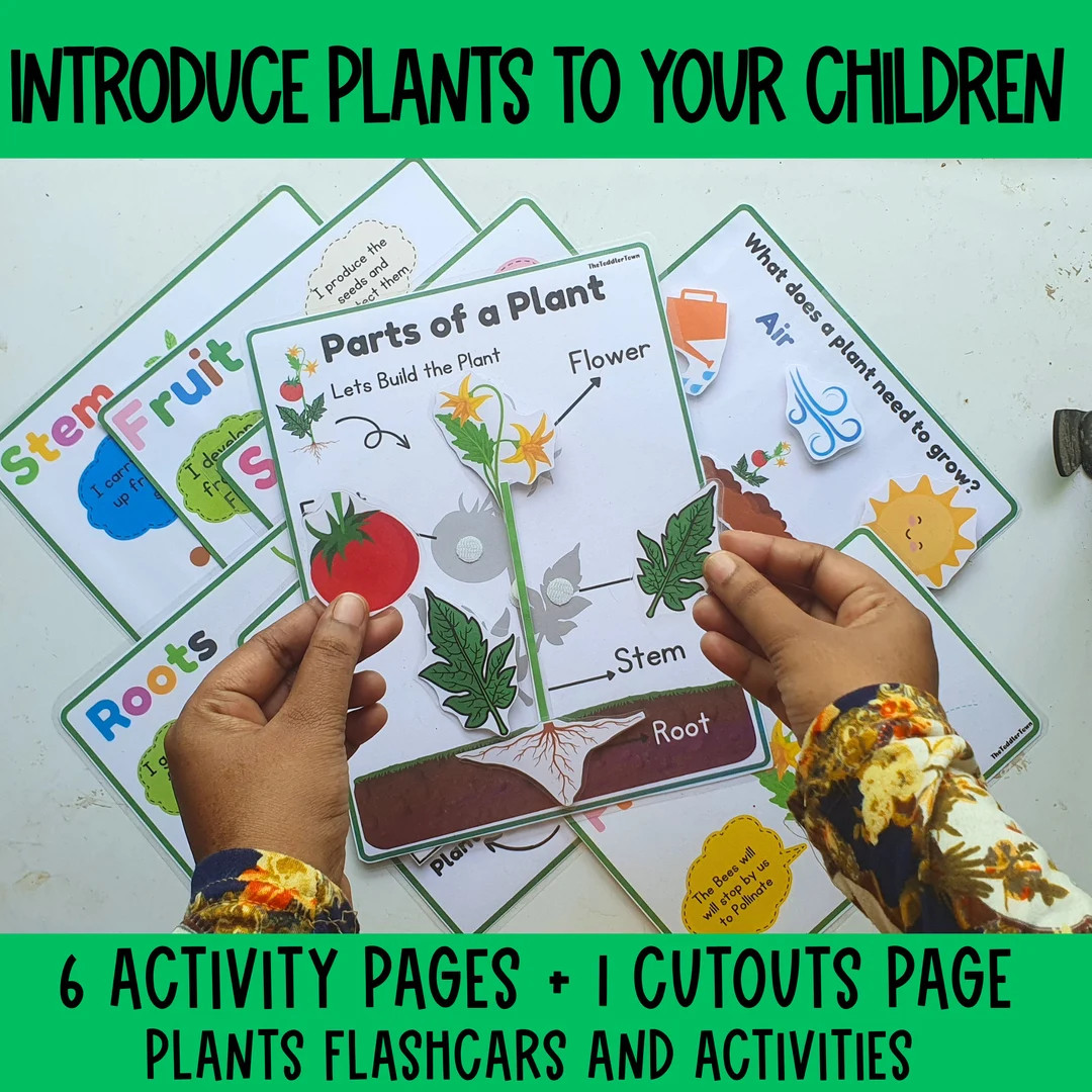 All About Plants Preschool Printable, Preschool Curriculum,preschool plants activity, parts of a ... | Etsy (US)