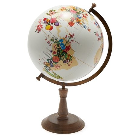 World Map of Flowers Globe by Drew Barrymore Flower Home | Walmart (US)