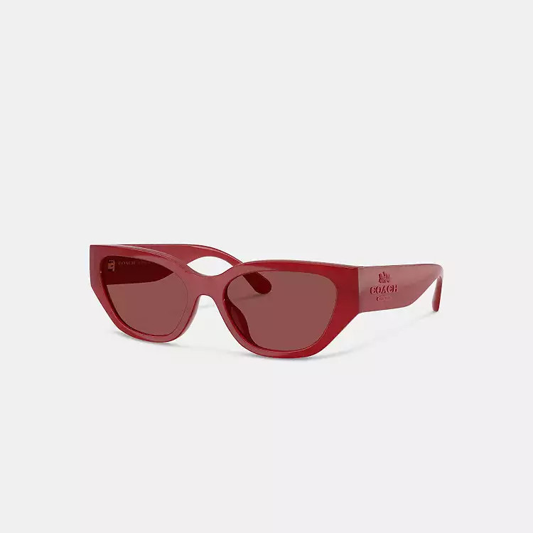 Geometric Cat Eye Sunglasses | Coach (US)