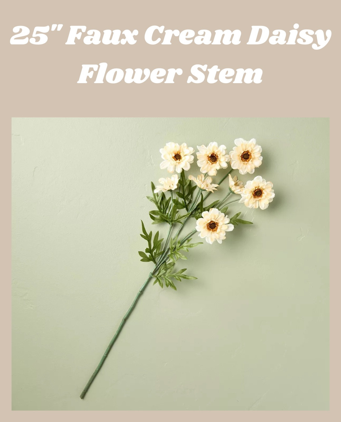These faux cream daisy stems from Hearth & Hand with Magnolia are perfect for adding a soft, timeless touch to any space! Whether you're styling a vase for spring or keeping things neutral year-round, these beauties bring effortless charm with zero maintenance. Grab yours here! 🌼✨

#LTKFindsUnder50 #LTKHome #LTKSeasonal