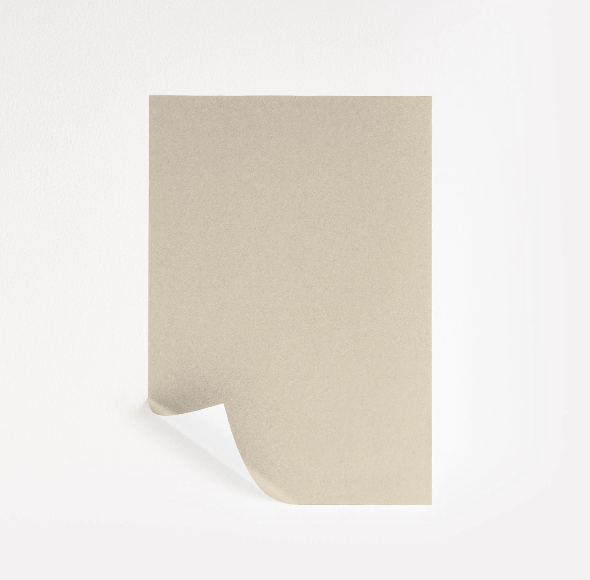 Muslin Paint Sample by Benjamin Moore (1037) | Peel & Stick Paint Sample | Samplize