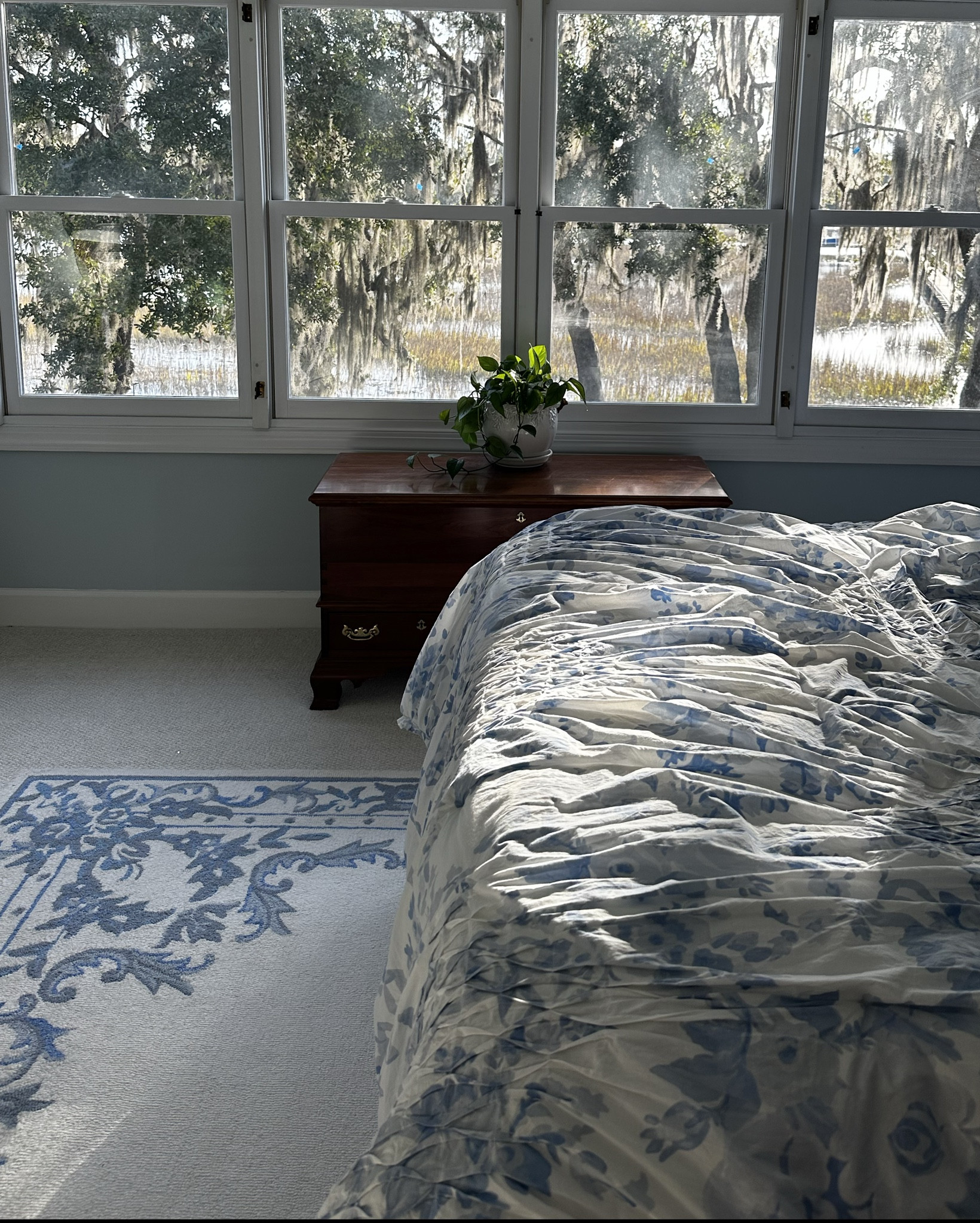 Elevate your bedroom with the enchanting Loveshack Fancy x Pottery Barn quilt. Embrace timeless elegance and cozy comfort today. 💙🦋

#LoveshackFancy #PotteryBarn #QuiltDecor #BedroomStyle #HomeDecorInspo #ChicInteriors #CozyHome #InteriorDesignIdeas #BedroomGoals #DecorInspiration

#LTKhome